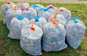 Waste collection drive
