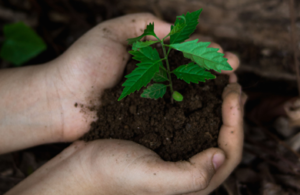 Climate Conservation